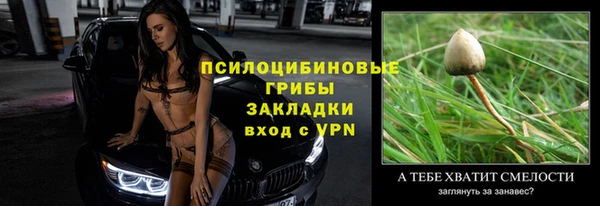молекула духа Верхний Тагил