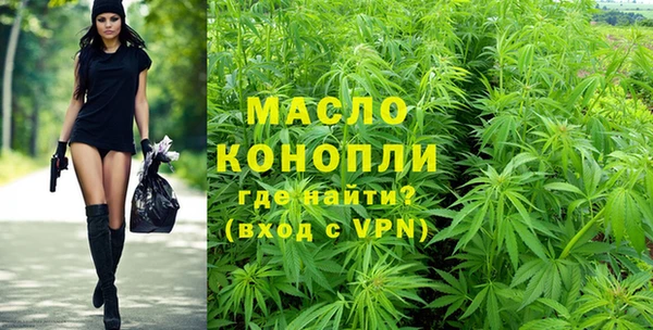 молекула духа Верхний Тагил